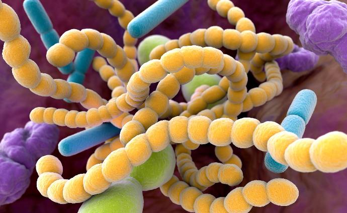 Modular Bioscience